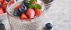Plant Based Protein Sources
